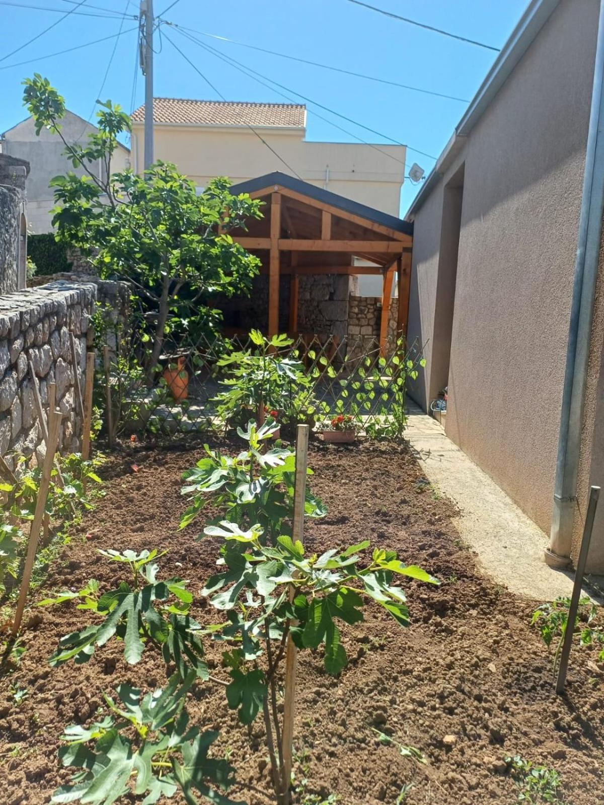 Apartmani Afrodita 茨里克韦尼察 外观 照片