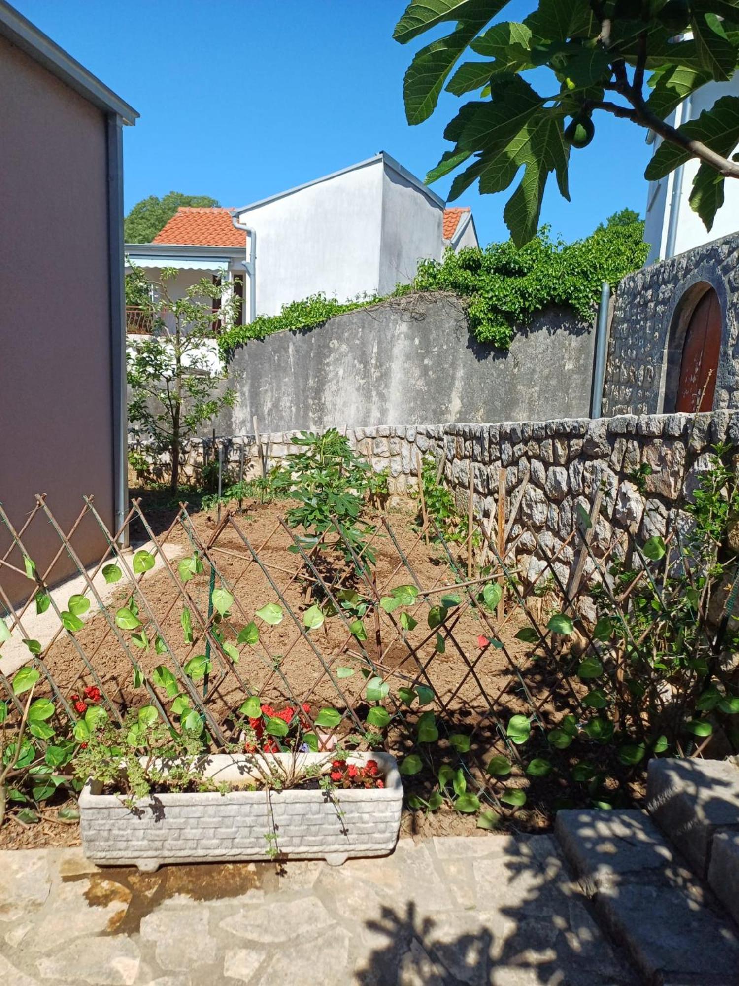 Apartmani Afrodita 茨里克韦尼察 外观 照片