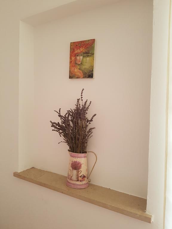 Apartmani Afrodita 茨里克韦尼察 外观 照片